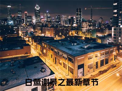 白莺谢景之热门小说在线阅读 白莺谢景之全网推荐（白莺谢景之）全文
