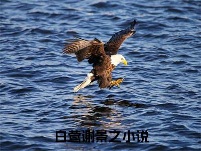 白莺谢景之热门言情小说推荐阅读，（白莺谢景之）在哪免费看
