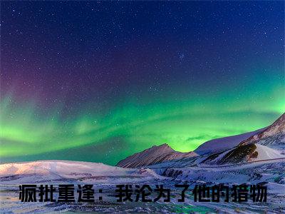 张伟（疯批重逢：我沦为了他的猎物）精彩小说-疯批重逢：我沦为了他的猎物全章节免费阅读