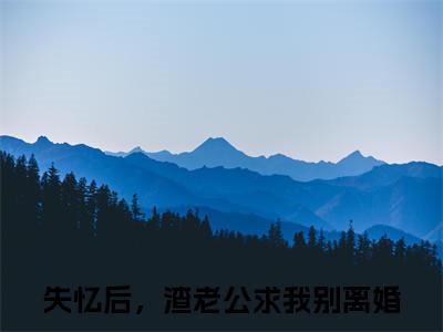 失忆后，渣老公求我别离婚小说-陆寒山乐颜最新章节全文阅读