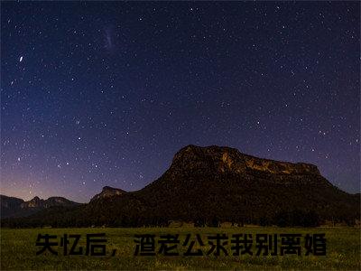 陆寒山乐颜小说全文（失忆后，渣老公求我别离婚）全文免费阅读无弹窗大结局_陆寒山乐颜小说全文最新章节列表