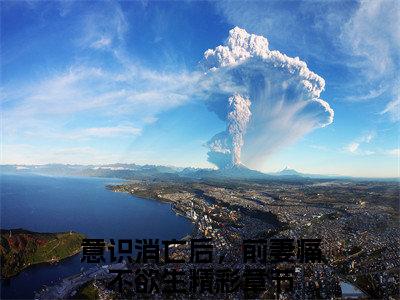 陈可馨林之航(意识消亡后，前妻痛不欲生)小说全文免费阅读完整版-陈可馨林之航免费在线阅读大结局（意识消亡后，前妻痛不欲生）