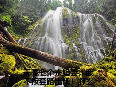 天降七个未婚妻，我不按套路出牌！林玄最新章节（天降七个未婚妻，我不按套路出牌！林玄免费在线阅读）全文免费阅读无弹窗大结局_天降七个未婚妻，我不按套路出牌！林玄免费在线阅读免费阅读（天降七个未婚妻，我不按套路出牌！林玄）