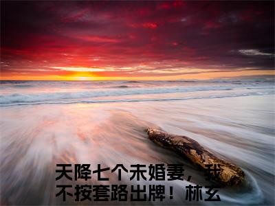 天降七个未婚妻，我不按套路出牌！林玄（天降七个未婚妻，我不按套路出牌！林玄）全文免费阅读无弹窗大结局_天降七个未婚妻，我不按套路出牌！林玄全文免费阅读（天降七个未婚妻，我不按套路出牌！林玄）最新章节列表_笔趣阁（天降七个未婚妻，我不按套路出牌！林玄）