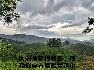 柔弱师妹狠嚣张，惊艳修真界虞晚小说全文免费阅读无弹窗大结局-柔弱师妹狠嚣张，惊艳修真界虞晚 小说在哪里可以看柔弱师妹狠嚣张，惊艳修真界虞晚