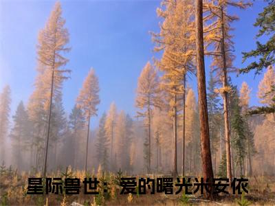 星际兽世：爱的曙光米安依热门小说最新章节阅读-老书虫书荒推荐热点小说（星际兽世：爱的曙光米安依）