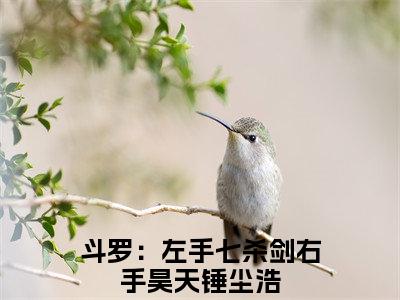 斗罗：左手七杀剑右手昊天锤尘浩小说（斗罗：左手七杀剑右手昊天锤尘浩）全文免费阅读无弹窗大结局_斗罗：左手七杀剑右手昊天锤尘浩小说最新章节列表