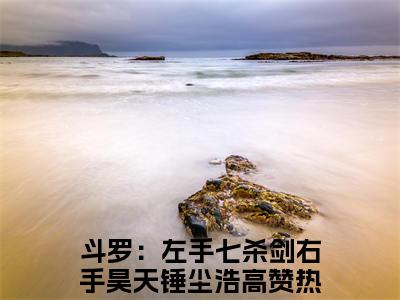 斗罗：左手七杀剑右手昊天锤尘浩（斗罗：左手七杀剑右手昊天锤尘浩）全文免费阅读无弹窗大结局_斗罗：左手七杀剑右手昊天锤尘浩免费阅读无弹窗