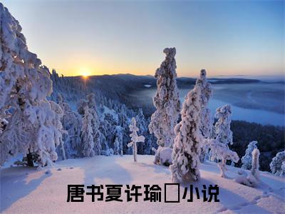 唐书夏许瑜璟人气小说在线阅读-正版小说《唐书夏许瑜璟》唐书夏许瑜璟全文阅读