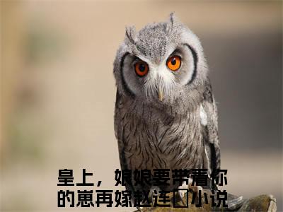 皇上，娘娘要带着你的崽再嫁赵连娍小说全文免费在线阅读-皇上，娘娘要带着你的崽再嫁赵连娍全文试读最新章节列表