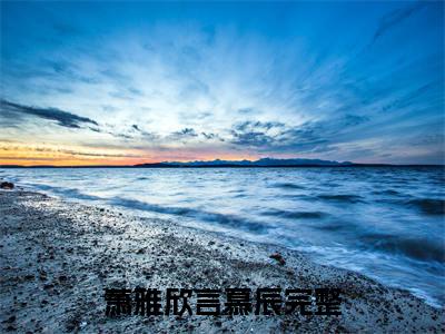 萧雅欣言慕辰最新章节在线阅读-萧雅欣言慕辰全文小说