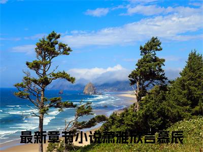 萧雅欣言慕辰小说免费版最新更新阅读-萧雅欣言慕辰全文免费阅读
