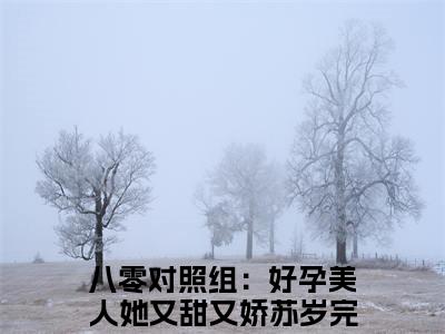 八零对照组：好孕美人她又甜又娇苏岁小说全文在线赏析-最火热点小说最新更新