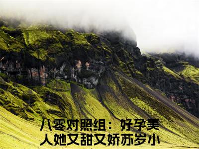 八零对照组：好孕美人她又甜又娇苏岁的小说主角（八零对照组：好孕美人她又甜又娇苏岁）免费阅读_八零对照组：好孕美人她又甜又娇苏岁热搜小说完结版阅读