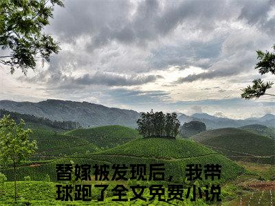 替嫁被发现后，我带球跑了温暖傅随安小说结局-替嫁被发现后，我带球跑了全文无弹窗阅读