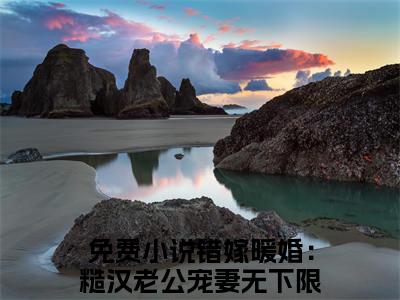陆致洵白絮（错嫁暖婚：糙汉老公宠妻无下限）全文免费阅读大结局_陆致洵白絮最新章节列表_笔趣阁