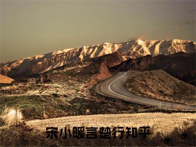 宋小暖言楚行(主角是宋小姐，请勿言不由衷全文免费阅读无弹窗)_宋小暖言楚行全文免费阅读无弹窗大结局