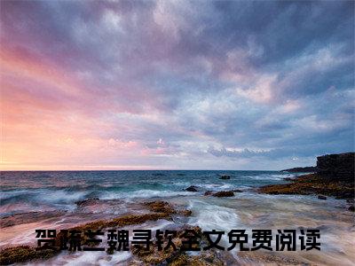 （贺疏兰魏寻钦）全文免费阅读无弹窗大结局_贺疏兰魏寻钦最新章节列表_笔趣阁