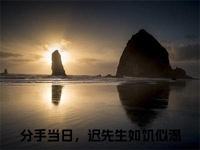 蓝浔（分手当日，迟先生如饥似渴）全文免费阅读无弹窗大结局_蓝浔（分手当日，迟先生如饥似渴免费小说）最新章节列表笔趣阁（分手当日，迟先生如饥似渴）