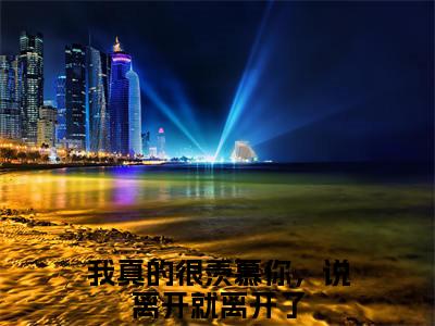 温初宜穆云洲全文免费阅读大结局_温初宜穆云洲最新章节列表_笔趣阁（我真的很羡慕你，说离开就离开了）