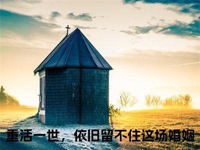 谢晚晴程熠阳小说免费下载（谢晚晴程熠阳完整全集已完结大结局小说）_重活一世，依旧留不住这场婚姻免费阅读笔趣阁