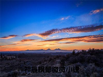 祁晨枫郁微微热门小说在哪免费看-小说（祁晨枫郁微微）完整版全文在线赏析
