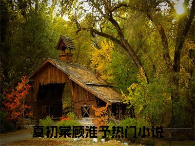 高赞小说夏初棠顾淮予（结婚三年，你可曾对我有丝毫眷恋）完结阅读_结婚三年，你可曾对我有丝毫眷恋夏初棠顾淮予免费看全文