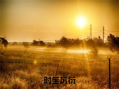 时笙厉衍（时笙厉衍txt）全文免费阅读无弹窗大结局_时笙厉衍最新章节列表_笔趣阁（时笙厉衍txt）