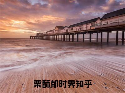 栗酥郁时霁小说全文免费阅读（栗酥郁时霁）全文免费阅读无弹窗大结局_(栗酥郁时霁)栗酥郁时霁小说免费阅读无弹窗最新章节列表_笔趣阁（栗酥郁时霁）