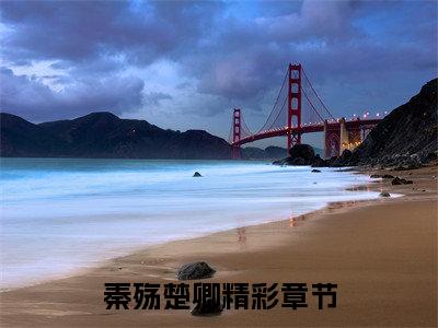 秦殇楚卿（秦殇楚卿）全文免费阅读无弹窗大结局_秦殇楚卿小说在线阅读全文最新章节列表_笔趣阁（秦殇楚卿）