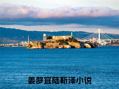 姜梦宜陆靳泽爽文免费阅读完整版-姜梦宜陆靳泽阅读大结局姜梦宜陆靳泽