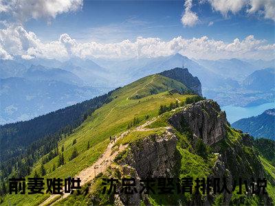 前妻难哄，沈总求娶请排队全文免费阅读大结局_沈熠任嘉嘉已完结全集前妻难哄，沈总求娶请排队大结局小说