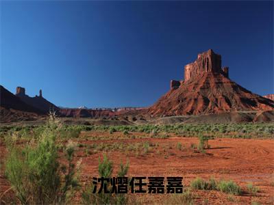 沈熠任嘉嘉（前妻难哄，沈总求娶请排队）全文免费阅读无弹窗_前妻难哄，沈总求娶请排队小说_笔趣阁