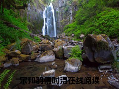 宋知羽傅时浔(宋知羽傅时浔)精彩美文-宋知羽傅时浔免费阅读