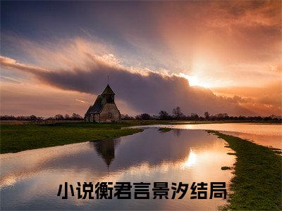 衡君言景汐免费小说-衡君言景汐完结版在线阅读