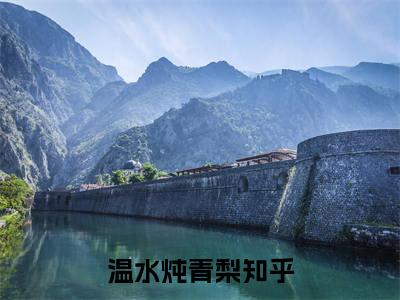 温水炖青梨小说最新章节阅读 温水炖青梨童梨沈言墨全文免费阅读最新章节大结局