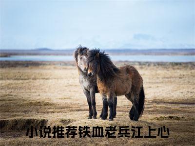 铁血老兵江上心全文免费阅读_（铁血老兵江上心免费阅读无弹窗）铁血老兵江上心最新章节在线阅读笔趣阁