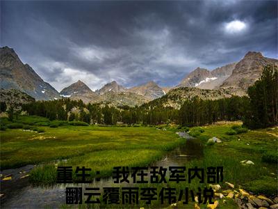 重生：我在敌军内部翻云覆雨李伟全文全文免费阅读_（重生：我在敌军内部翻云覆雨李伟免费阅读无弹窗）重生：我在敌军内部翻云覆雨李伟全文最新章节列表笔趣阁（重生：我在敌军内部翻云覆雨李伟）