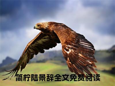 简柠陆景辞（简柠陆景辞）全集免费阅读无弹窗_(简柠陆景辞小说免费阅读)_笔趣阁