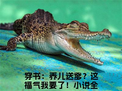 穿书：养儿送爹？这福气我要了！（唐熙媛钟铭）全文在线阅读无弹窗大结局_穿书：养儿送爹？这福气我要了！精选免费小说大结局阅读_唐熙媛钟铭