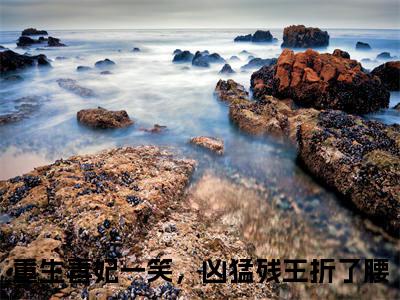 重生毒妃一笑，凶猛残王折了腰小说在线阅读-苏轻妩夜玄霆小说最新章节阅读