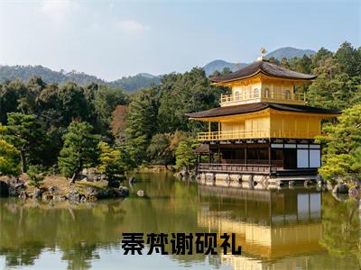 秦梵谢砚礼（秦梵谢砚礼）最后结局如何-最火热点小说秦梵谢砚礼最新更新