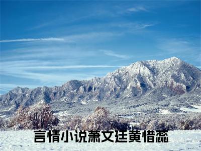 萧文廷黄惜蕊（萧文廷黄惜蕊）全文免费阅读无弹窗大结局_萧文廷黄惜蕊最新章节列表_笔趣阁（萧文廷黄惜蕊）