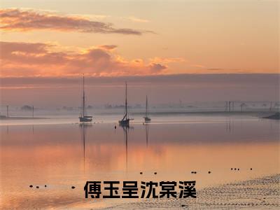 傅玉呈沈棠溪(傅玉呈沈棠溪)全文免费阅读无弹窗大结局_傅玉呈沈棠溪免费阅读最新章节列表_笔趣阁（傅玉呈沈棠溪）