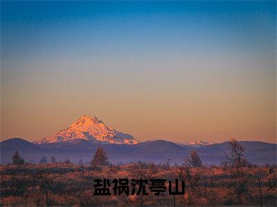 盐祸沈亭山免费完本小说 盐祸沈亭山精彩章节在线阅读