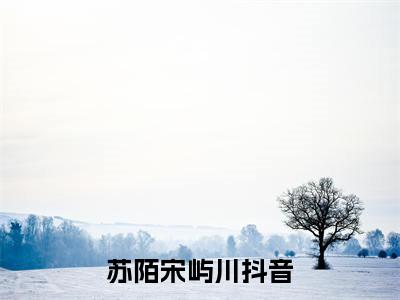 生平妄念，再无清欢（苏陌宋屿川）热门小说最新章节阅读-（生平妄念，再无清欢）苏陌宋屿川全文免费阅读
