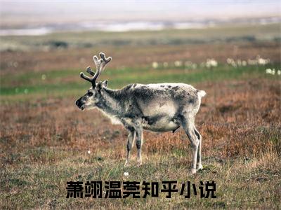 海棠一朵相思彻骨免费阅读无弹窗大结局，萧翊温莞（最新全章节）全文阅读免费阅读-笔趣阁
