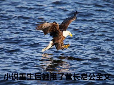 重生后她甩了营长老公谢望舒程骁南精彩章节-重生后她甩了营长老公谢望舒程骁南完整版阅读