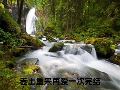 徐闻沈宗宁是什么小说-卷土重来再爱一次全文免费阅读无弹窗大结局（徐闻沈宗宁）最新章节阅读