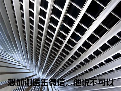 宋之意谢庭言(想加谢医生微信，他说不可以)小说全文免费阅读无弹窗大结局_（宋之意谢庭言全文免费阅读）想加谢医生微信，他说不可以最新章节列表